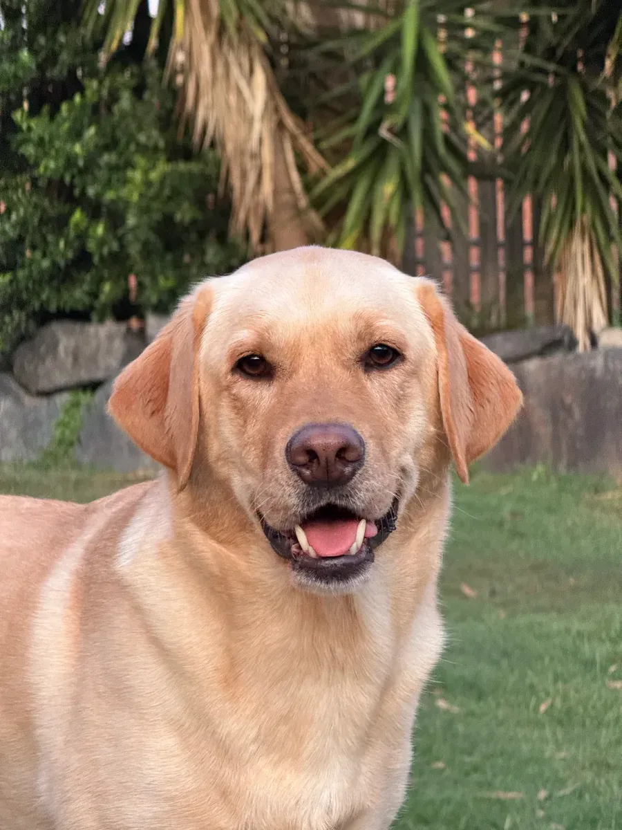 Sadie smiling in the garden